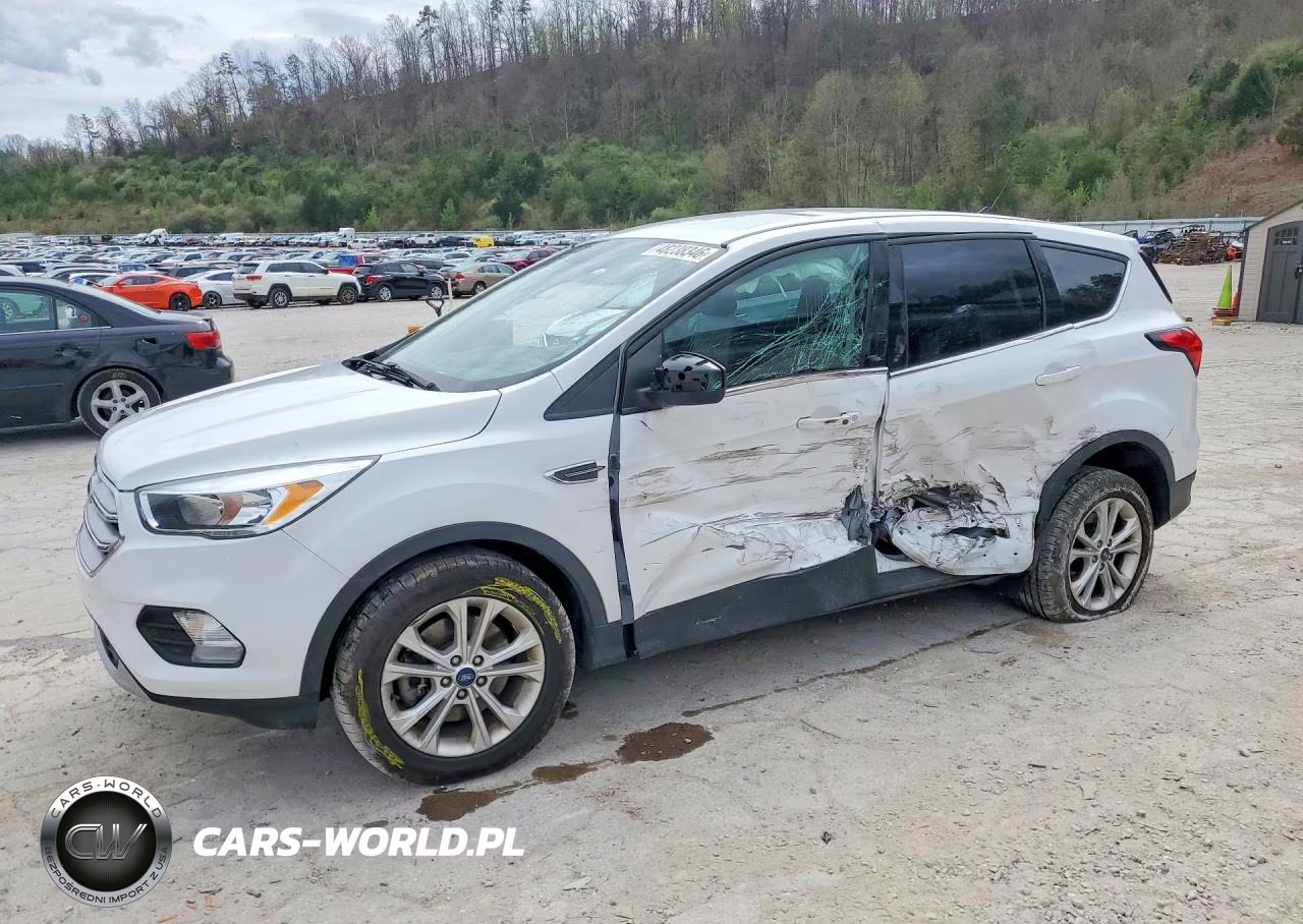 2019 Ford Escape Se
