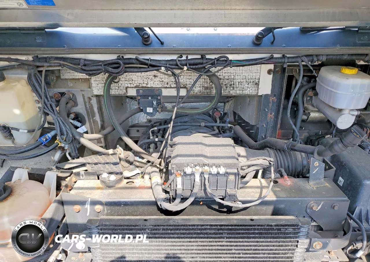 2021 Ford F59 Delivery Truck VIN:1F65F5KN6M0A04976 - 11