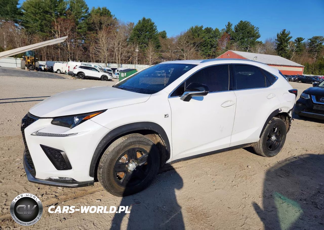 2021 Lexus Nx 300 F Sport VIN:JTJSARBZ1M2199220 - 1