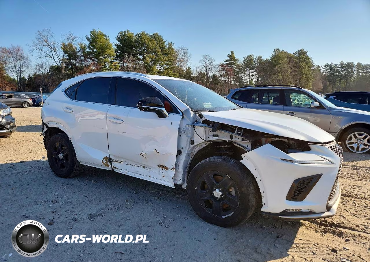 2021 Lexus Nx 300 F Sport VIN:JTJSARBZ1M2199220 - 4