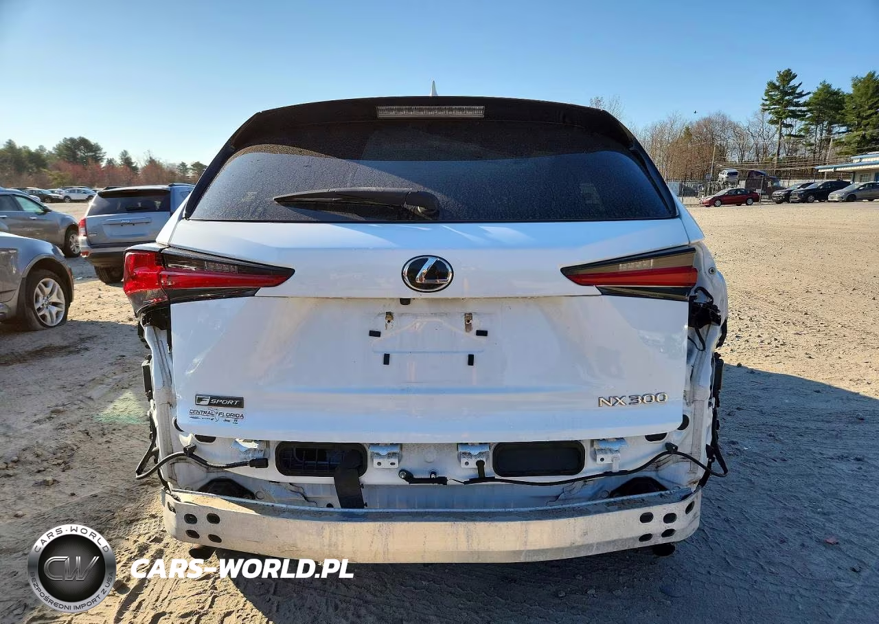 2021 Lexus Nx 300 F Sport VIN:JTJSARBZ1M2199220 - 6