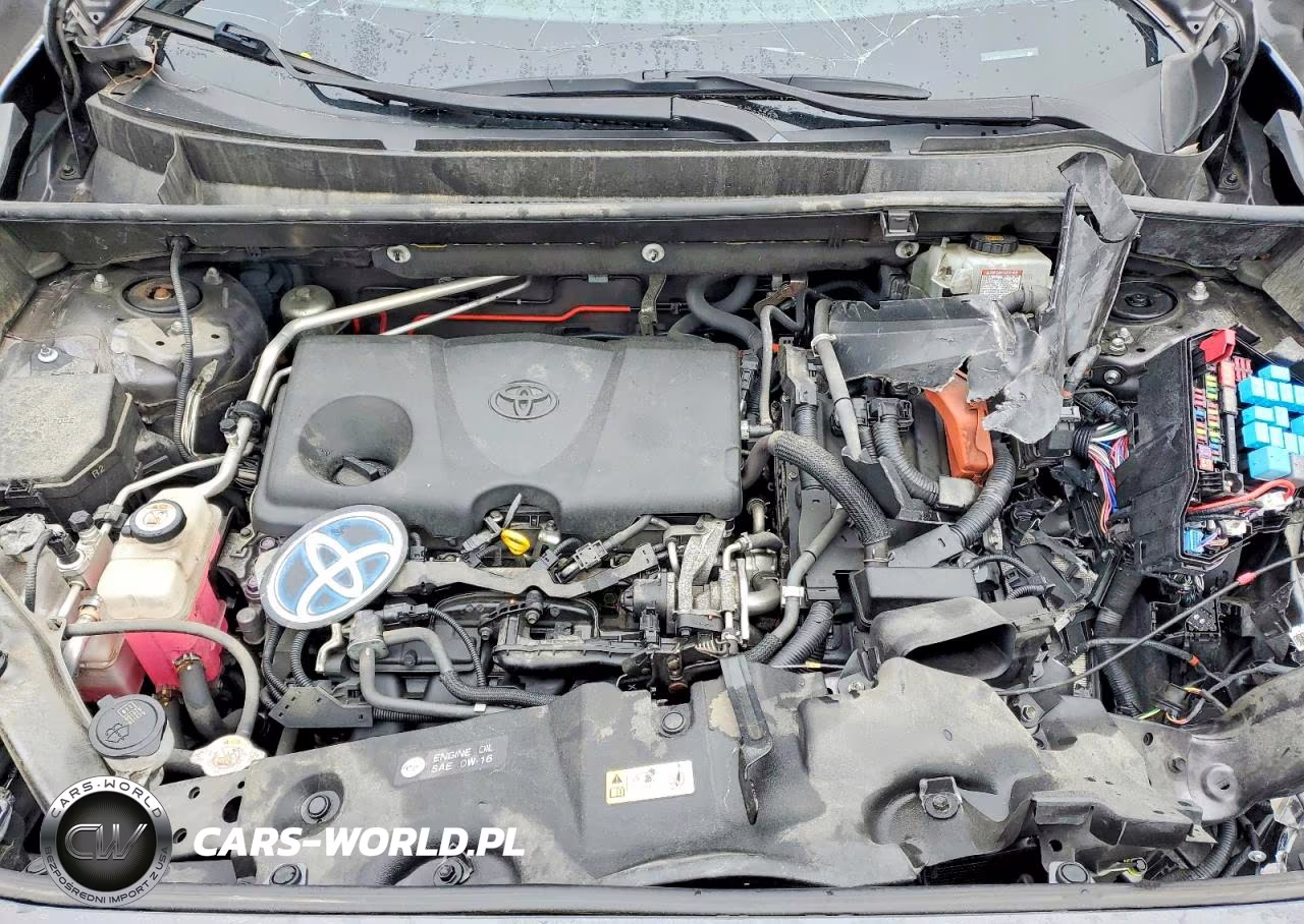 2019 Toyota Rav4 Hybrid Xse VIN:JTMEWRFV1KJ005247 - 12