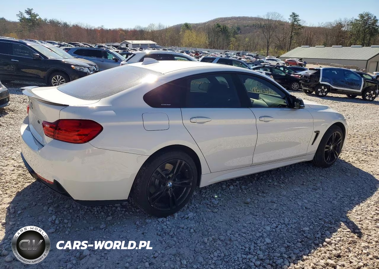 2017 BMW 430Xi Gran Coupe VIN:WBA4F9C51HG792591 - 3
