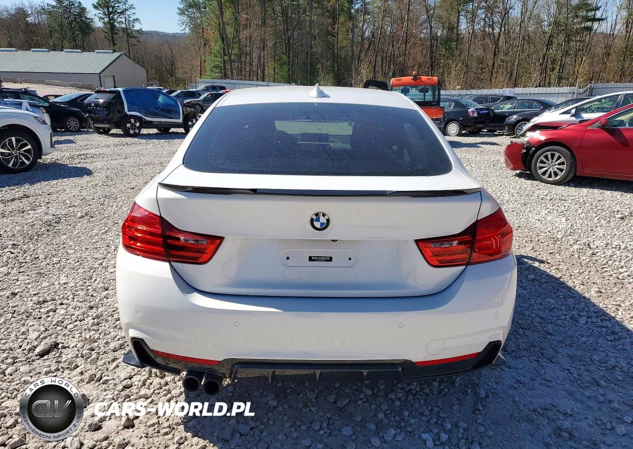 2017 BMW 430Xi Gran Coupe VIN:WBA4F9C51HG792591 - 6