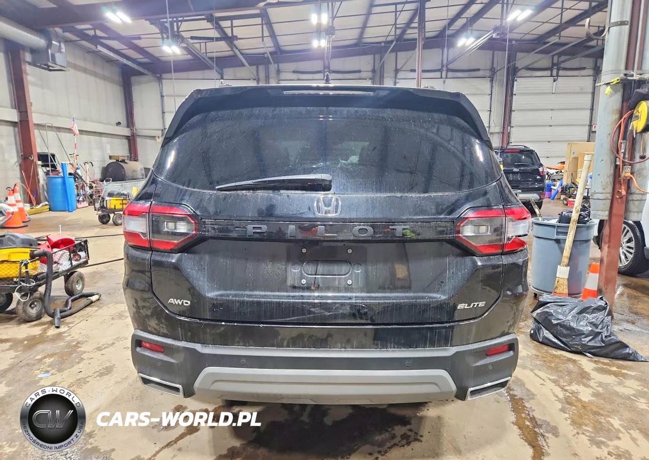 2024 Honda Pilot Elite VIN:5FNYG1H81RB035305 - 6