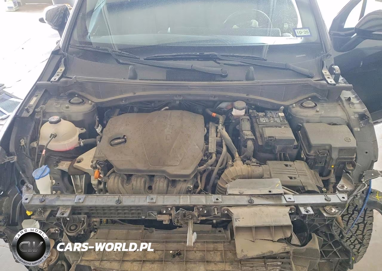 2023 Kia Sportage X-Pro VIN:5XYK7CAF6PG065562 - 12