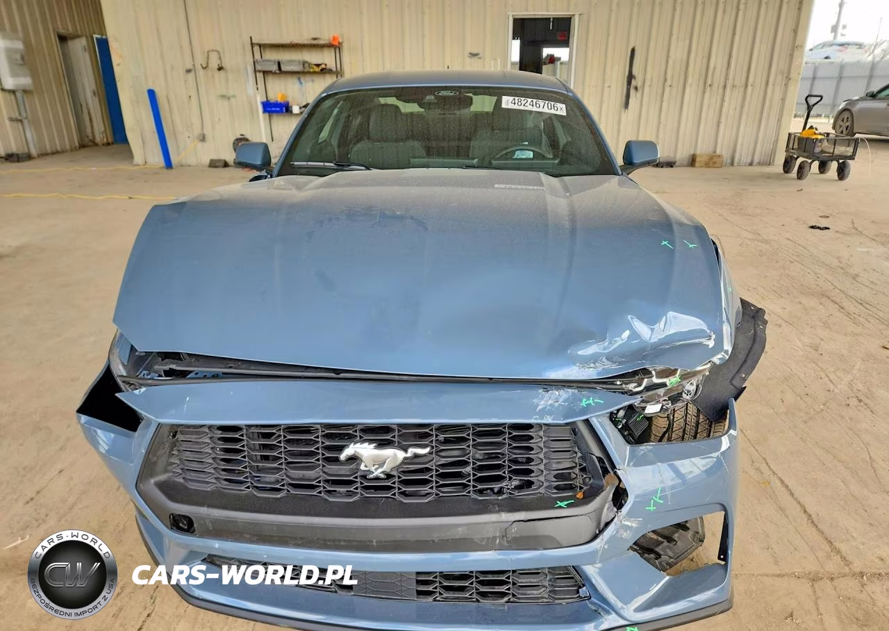 2024 Ford Mustang VIN:1FA6P8TH5R5117942 - 5