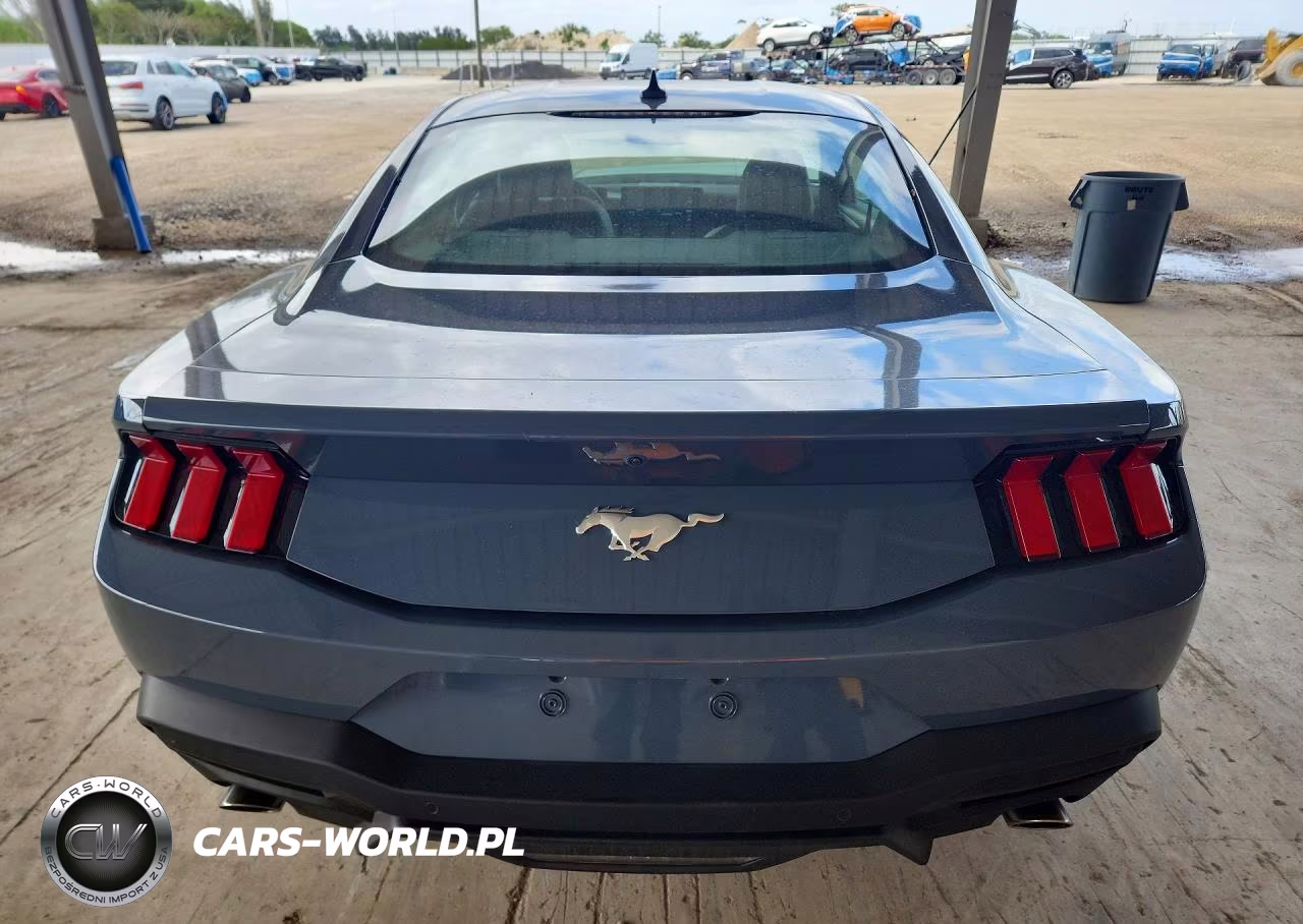 2024 Ford Mustang VIN:1FA6P8TH5R5117942 - 6