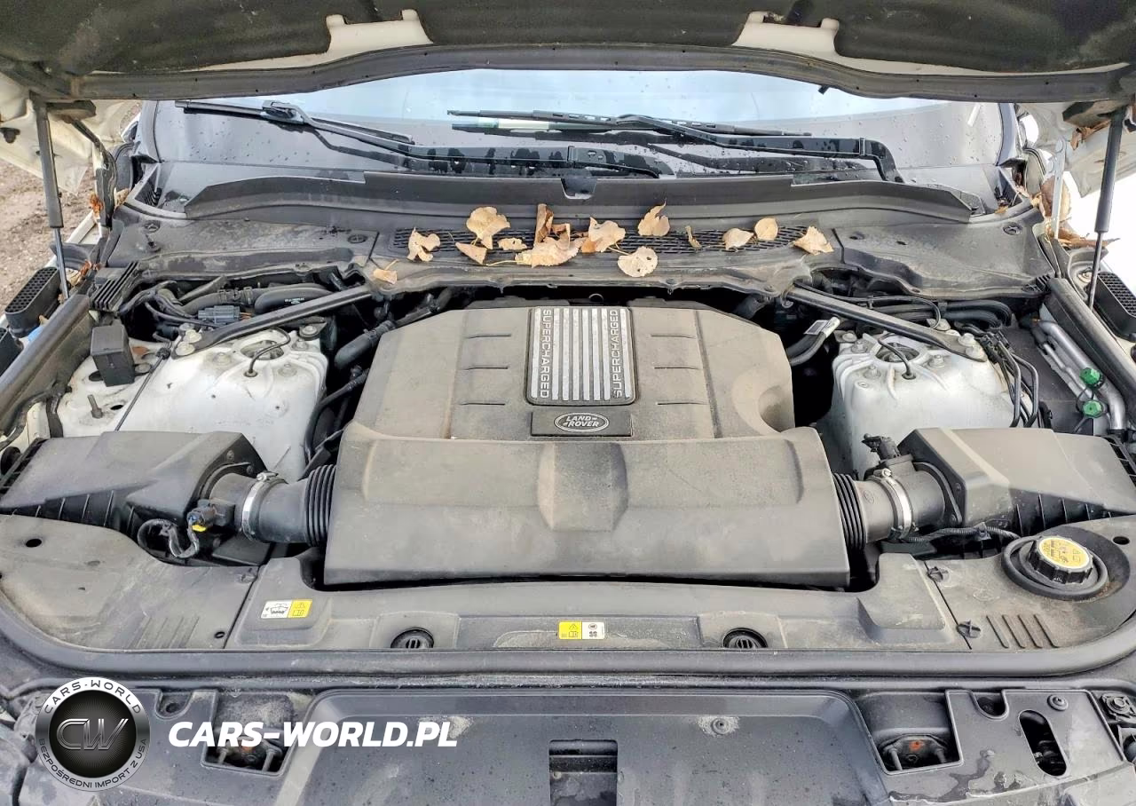 2016 Land Rover Range Rover Sport Hse VIN:SALWR2PFXGA118043 - 12