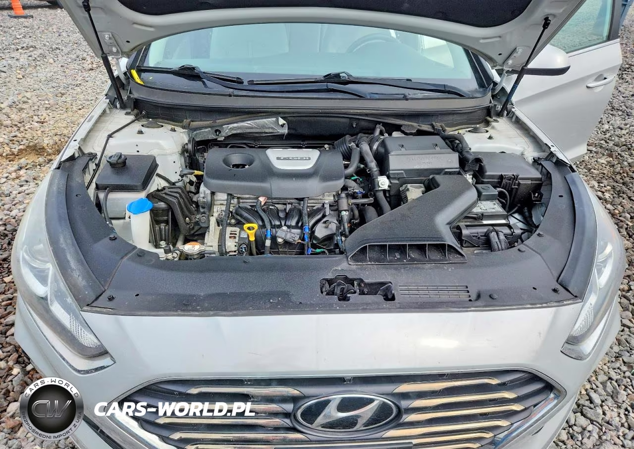 2019 Hyundai Sonata Eco VIN:5NPE24AA4KH774496 - 11