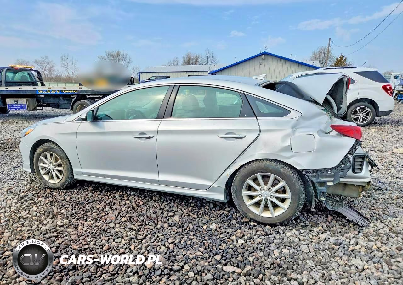 2019 Hyundai Sonata Eco VIN:5NPE24AA4KH774496 - 2