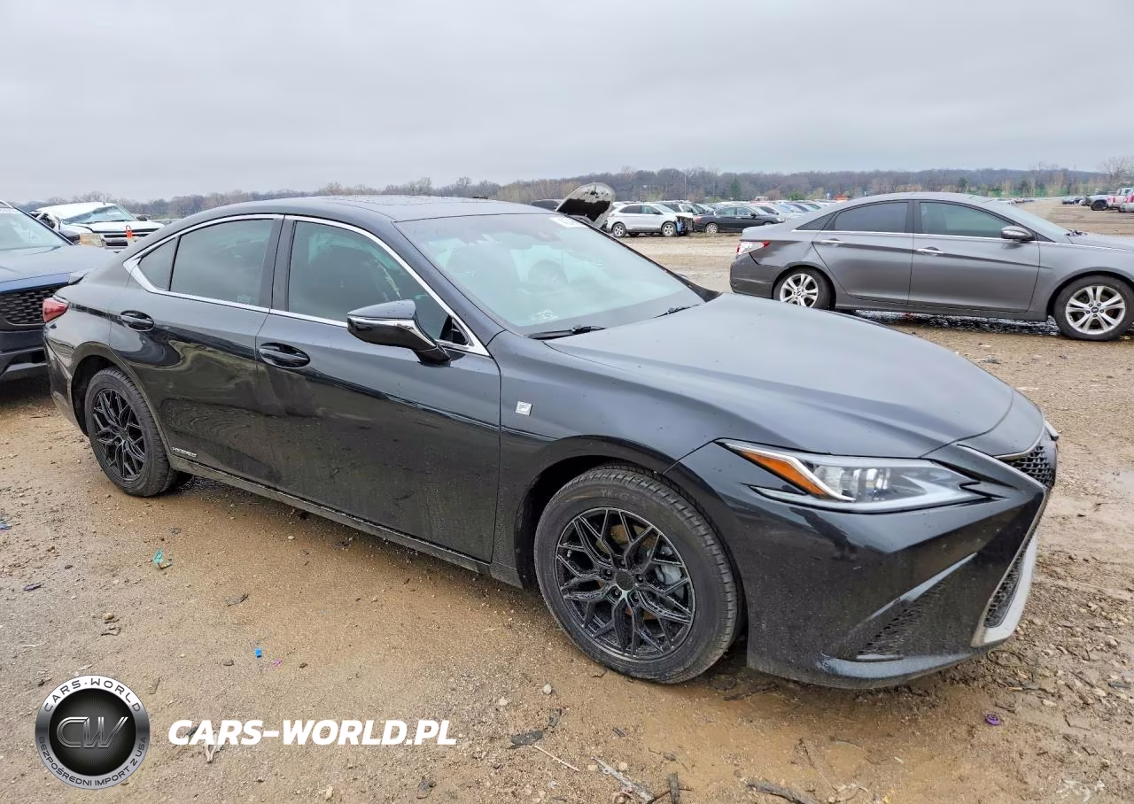 2022 Lexus Es 300H F Sport VIN:58AGA1C1XNU024588 - 4