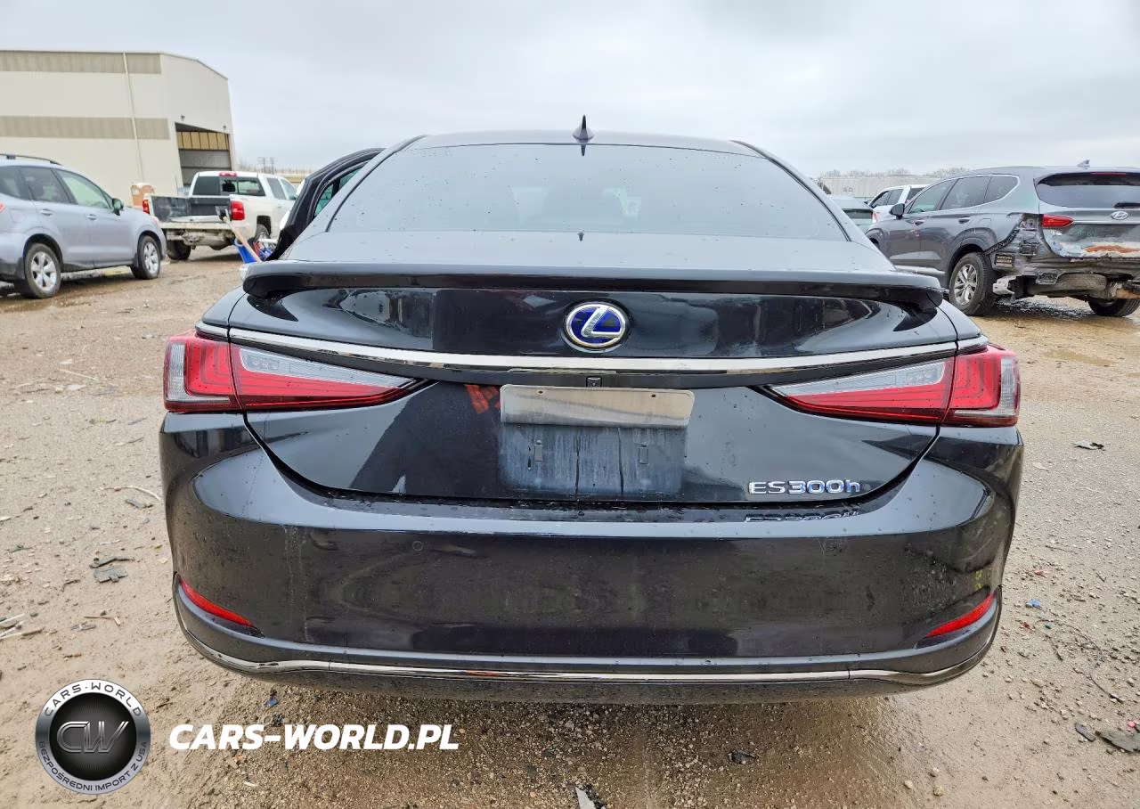 2022 Lexus Es 300H F Sport VIN:58AGA1C1XNU024588 - 6