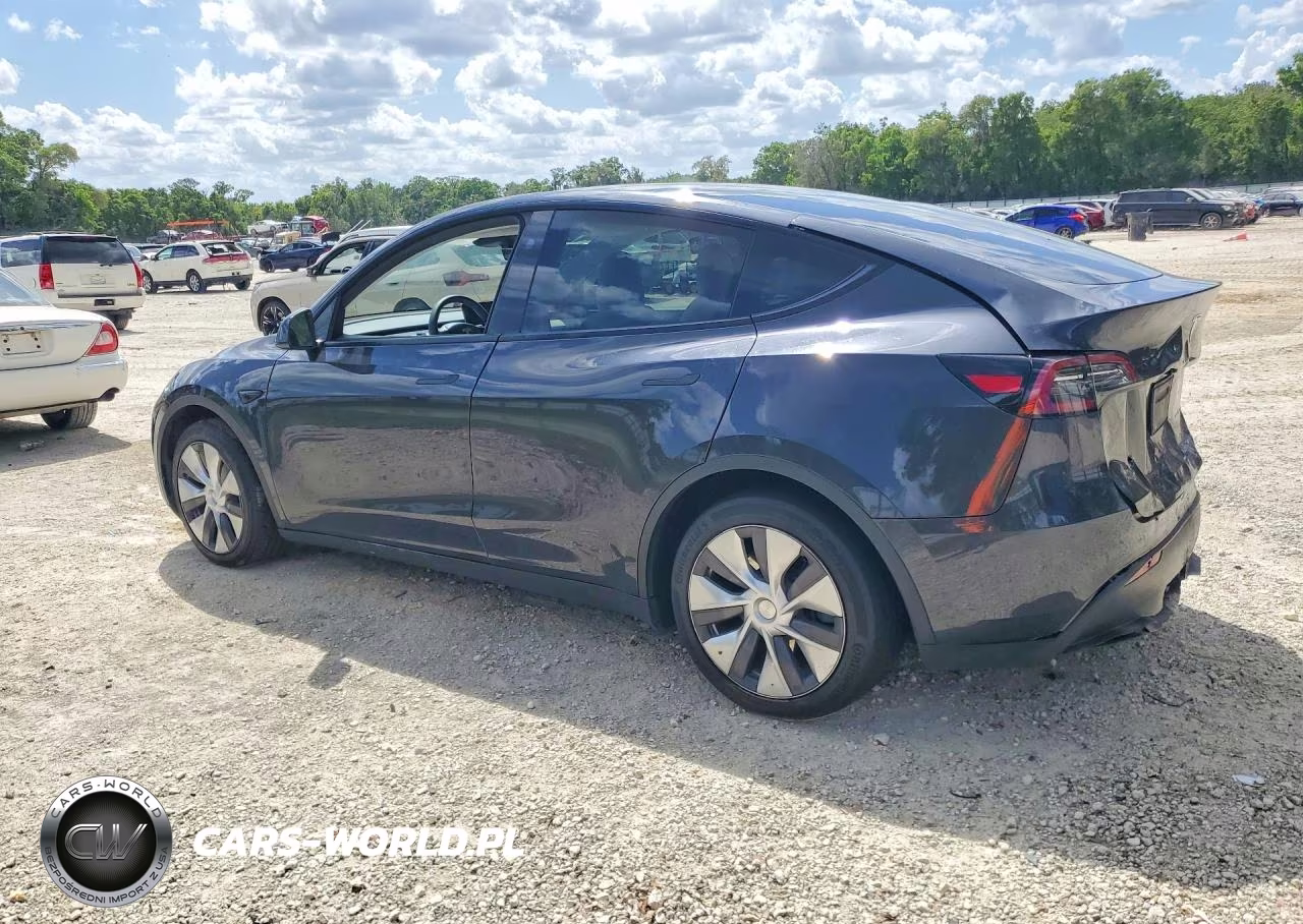 2024 Tesla Model Y VIN:7SAYGAEE1RF045247 - 2