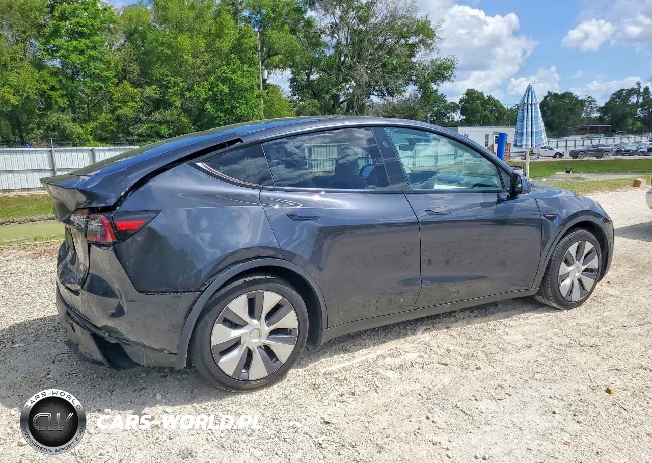 2024 Tesla Model Y VIN:7SAYGAEE1RF045247 - 3