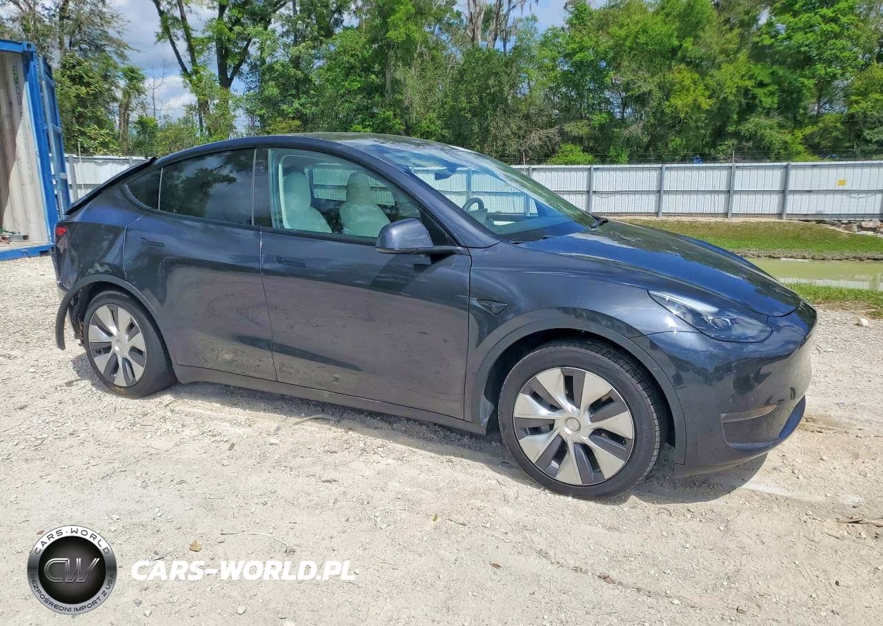 2024 Tesla Model Y VIN:7SAYGAEE1RF045247 - 4