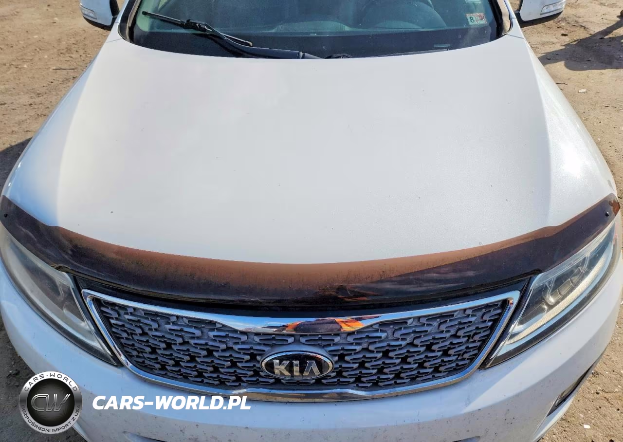 2015 Kia Sorento Sx VIN:5XYKWDA78FG609575 - 12
