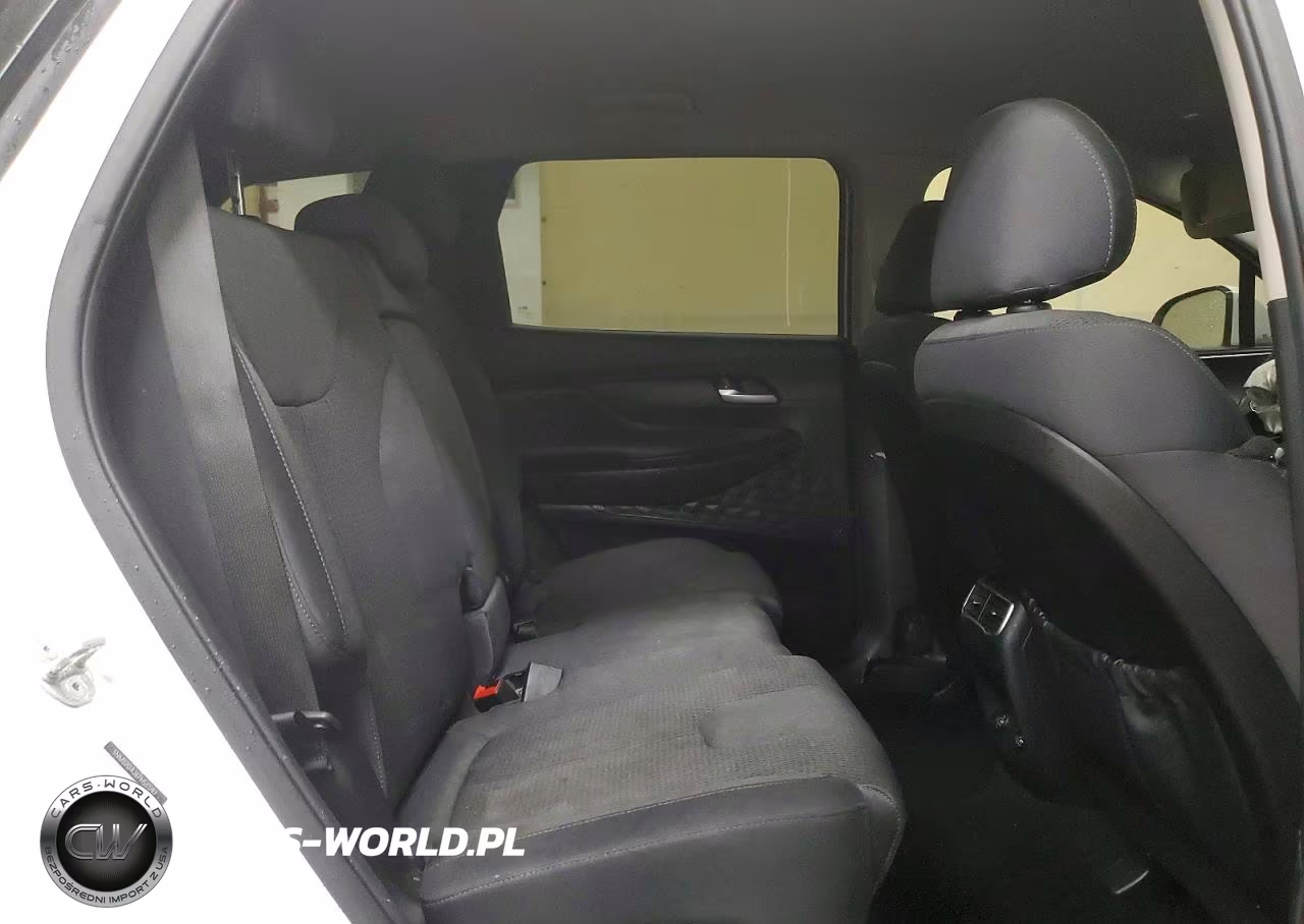 2023 Hyundai Santa Fe Sel VIN:5NMS2DAJ6PH561282 - 11