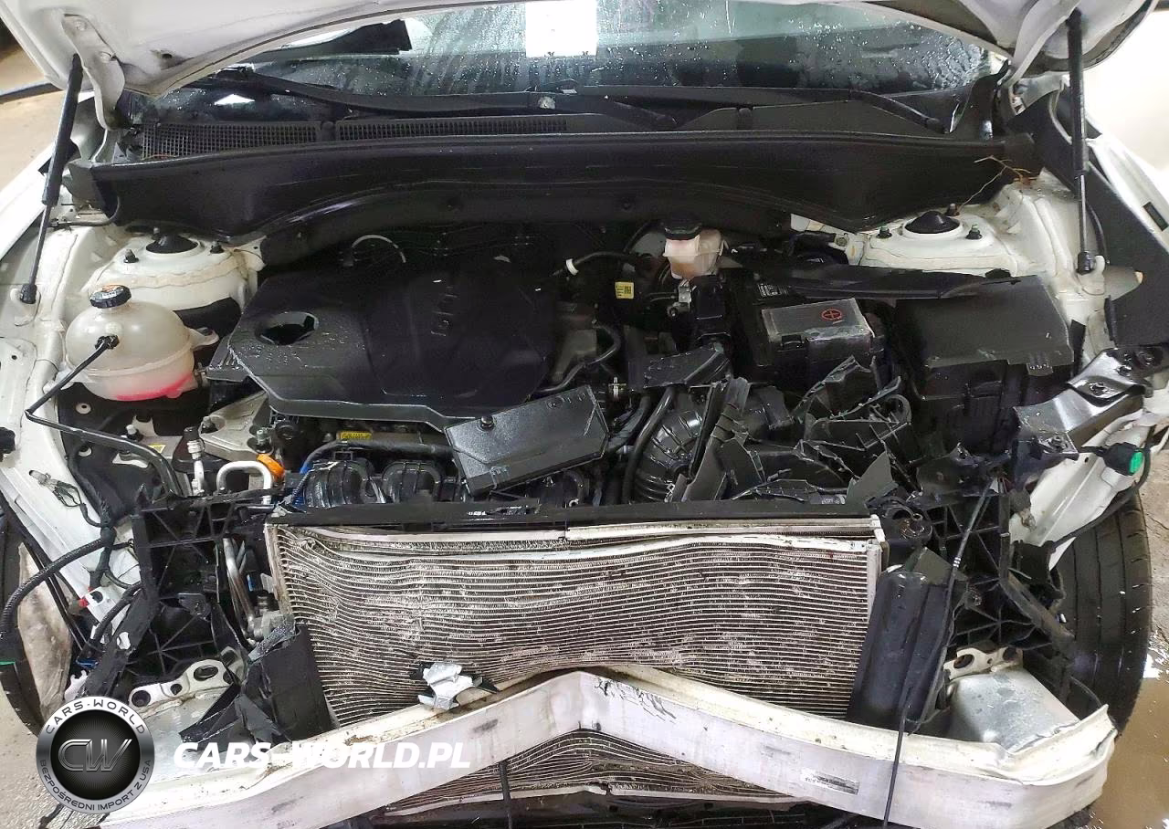 2023 Hyundai Santa Fe Sel VIN:5NMS2DAJ6PH561282 - 12