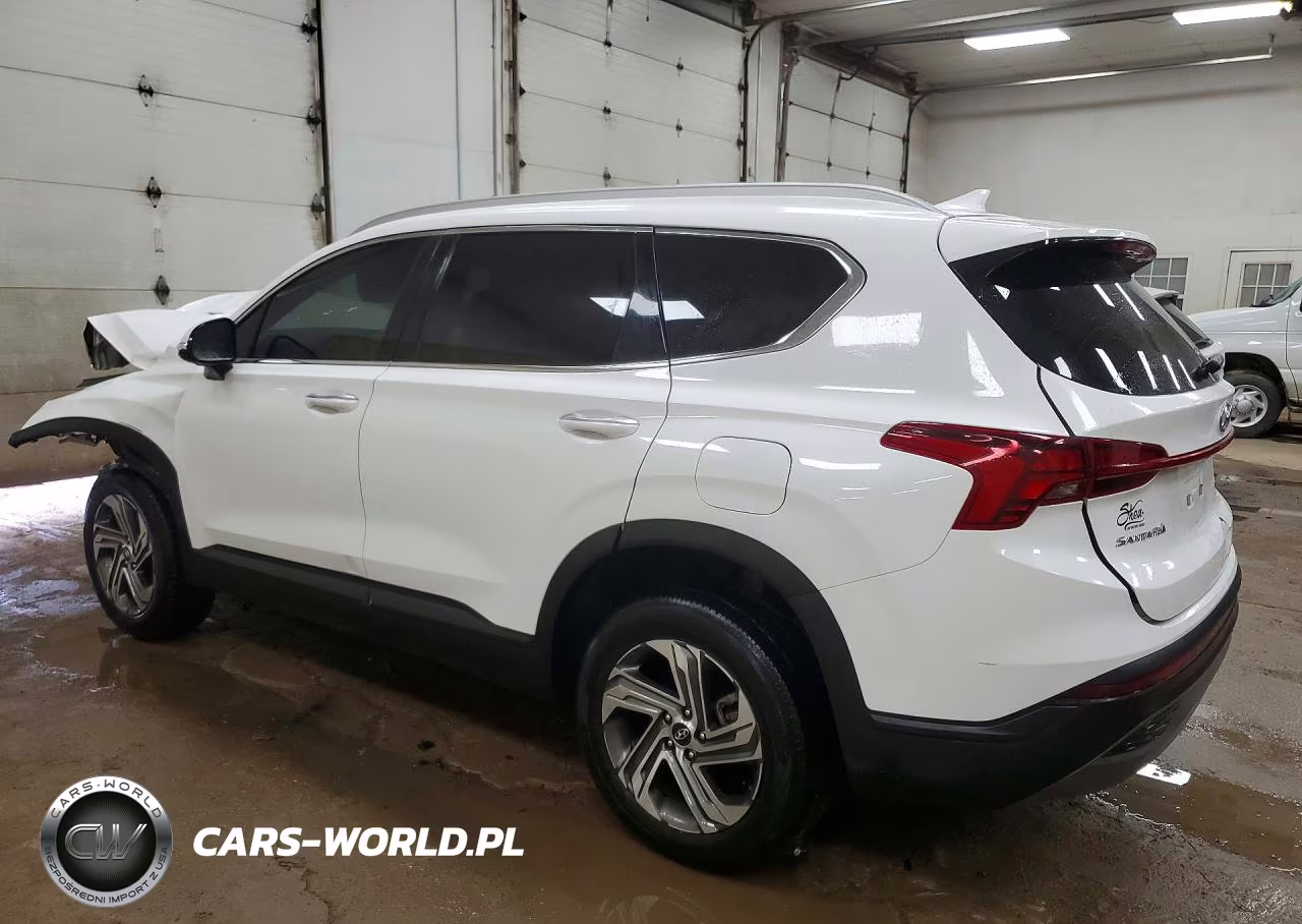 2023 Hyundai Santa Fe Sel VIN:5NMS2DAJ6PH561282 - 2