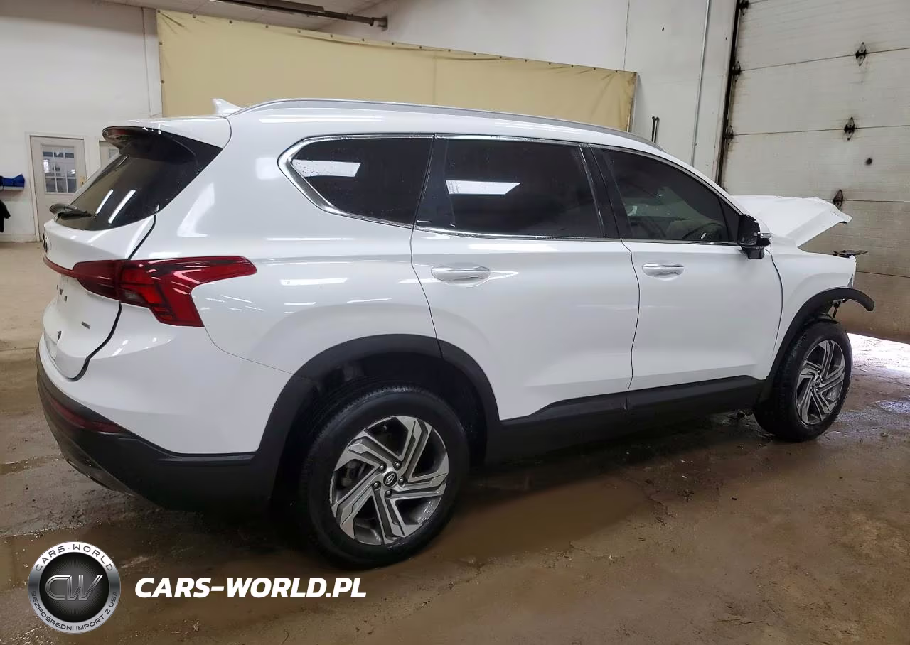 2023 Hyundai Santa Fe Sel VIN:5NMS2DAJ6PH561282 - 3