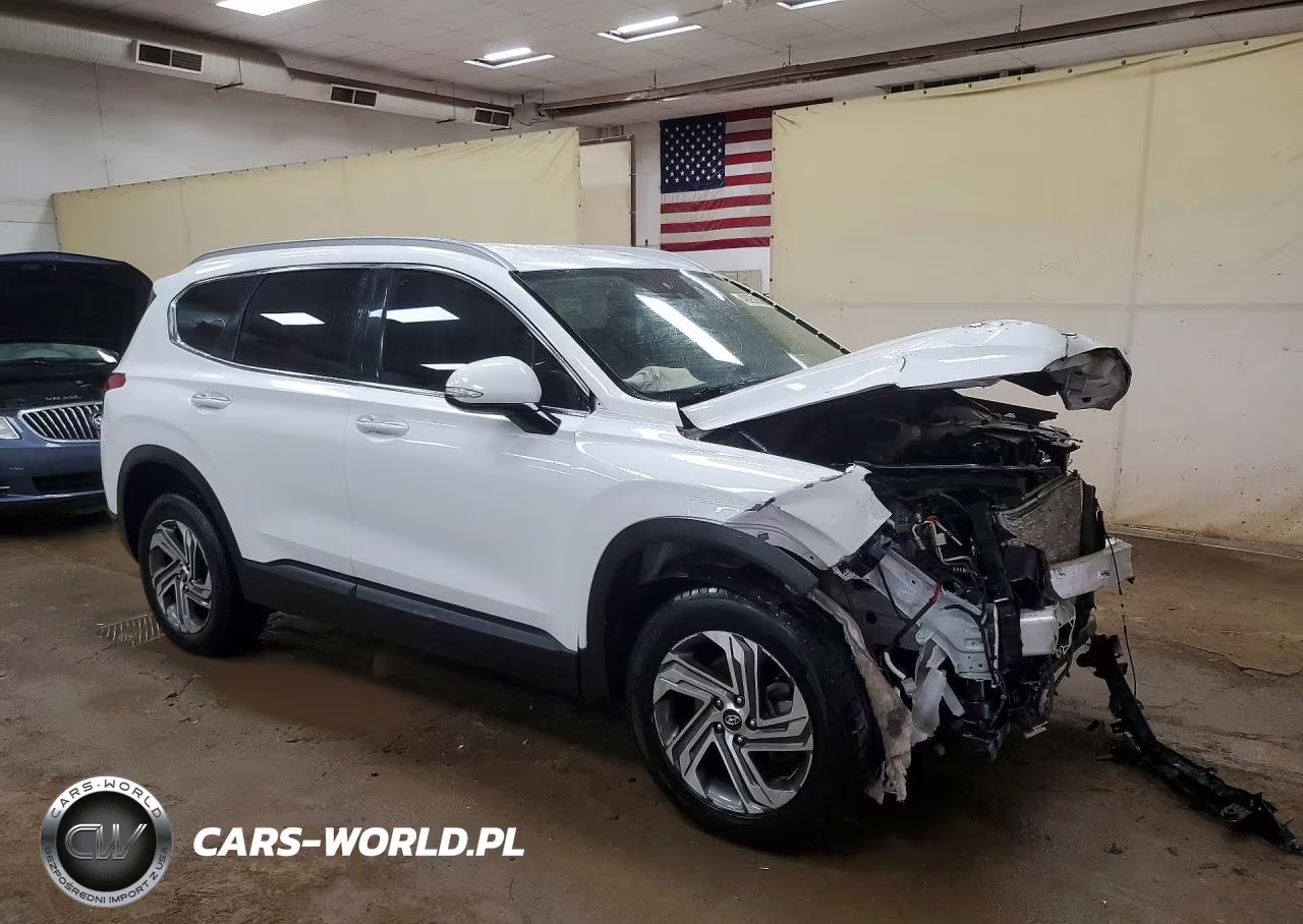 2023 Hyundai Santa Fe Sel VIN:5NMS2DAJ6PH561282 - 4