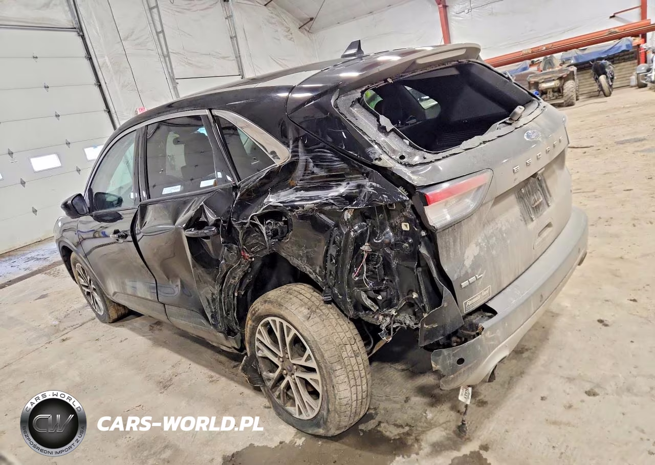 2022 Ford Escape Sel VIN:1FMCU9H62NUA99155 - 2