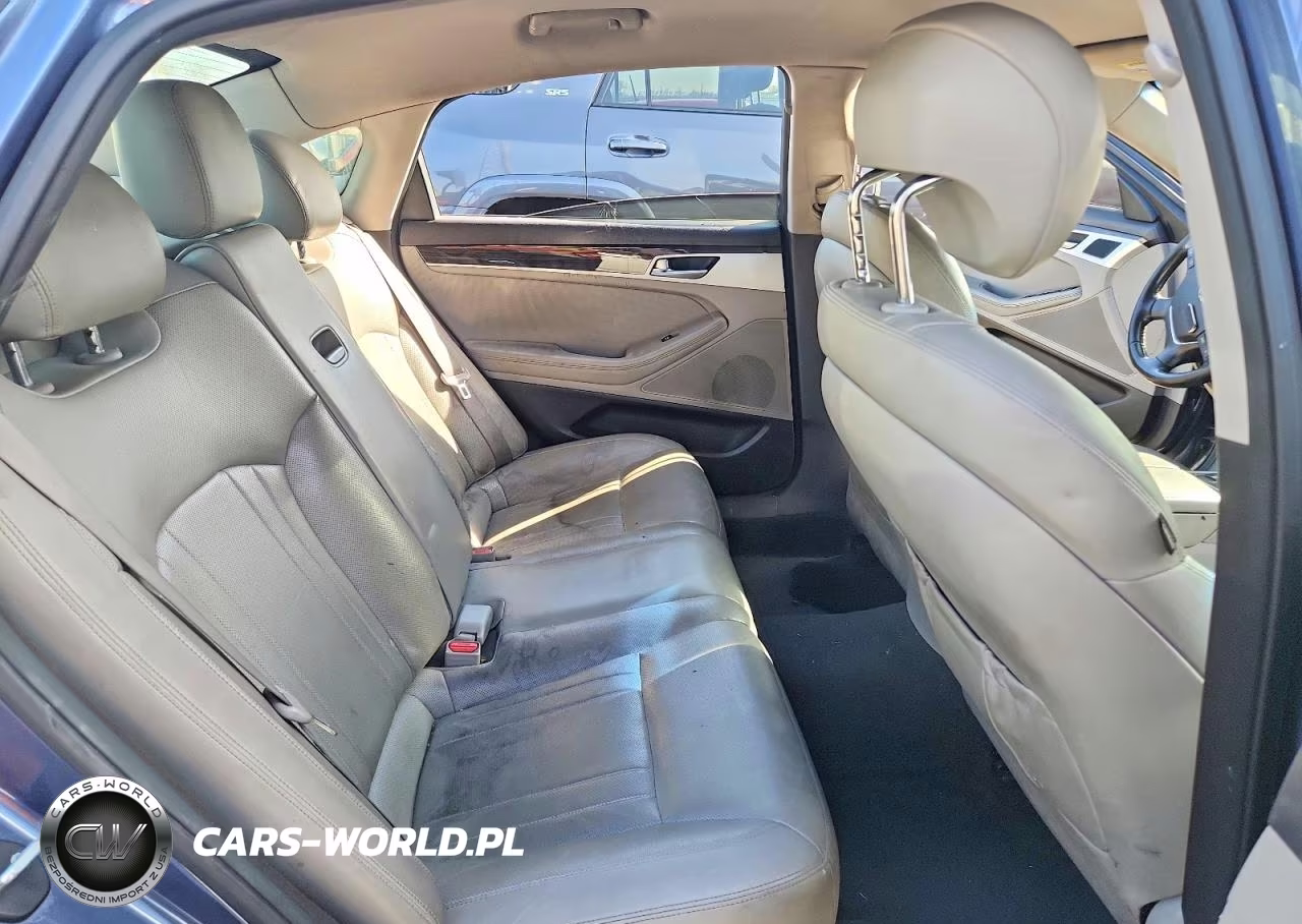 2015 Hyundai Genesis 3.8L VIN:KMHGN4JE7FU099141 - 10