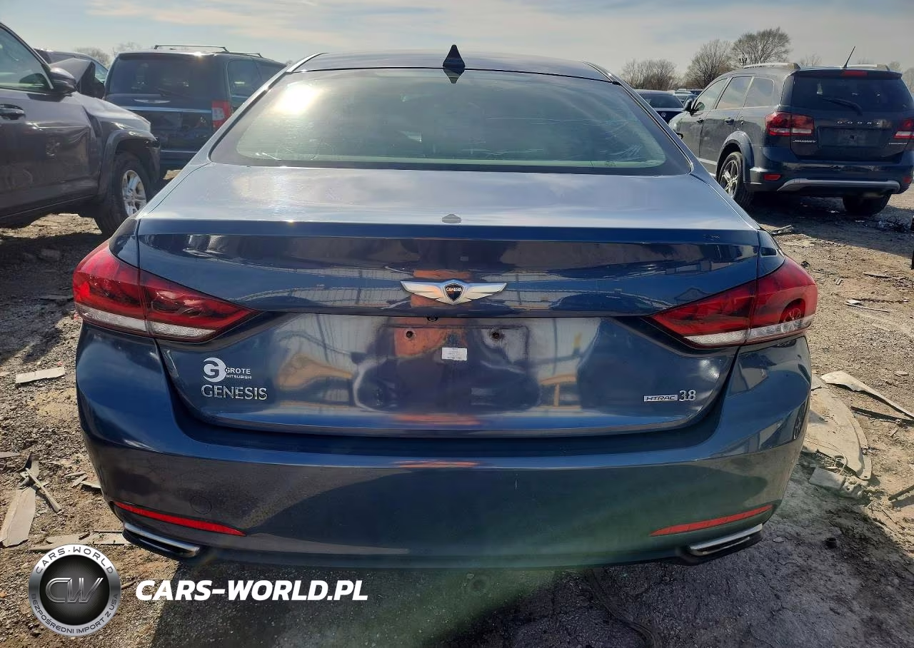 2015 Hyundai Genesis 3.8L VIN:KMHGN4JE7FU099141 - 6