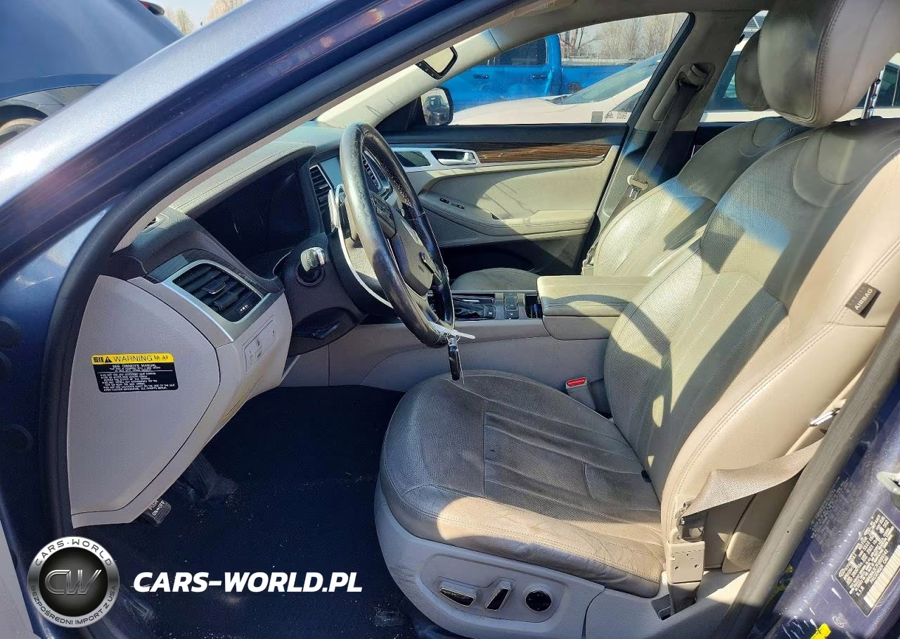2015 Hyundai Genesis 3.8L VIN:KMHGN4JE7FU099141 - 7