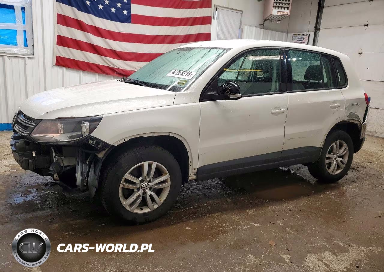 2013 Volkswagen Tiguan S