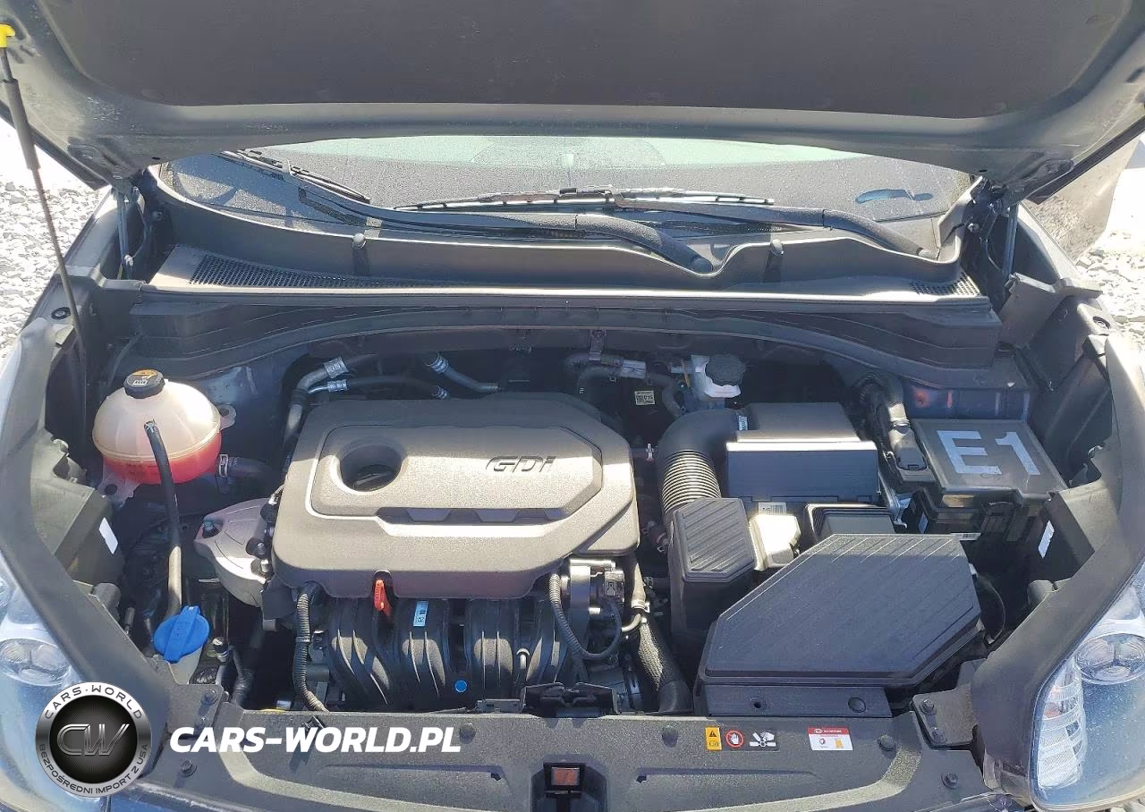 2021 Kia Sportage Lx VIN:KNDPM3AC8M7931369 - 12