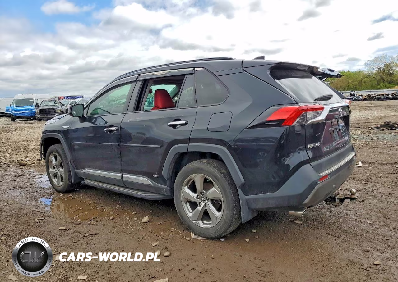 2019 Toyota Rav4 Hybrid Limited VIN:JTMDWRFV3KD509888 - 2