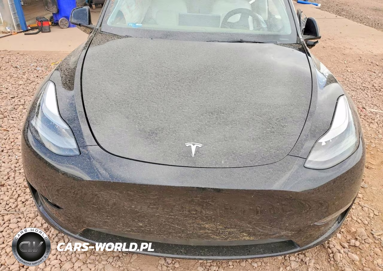 2023 Tesla Model Y VIN:7SAYGDEF0PF660055 - 11