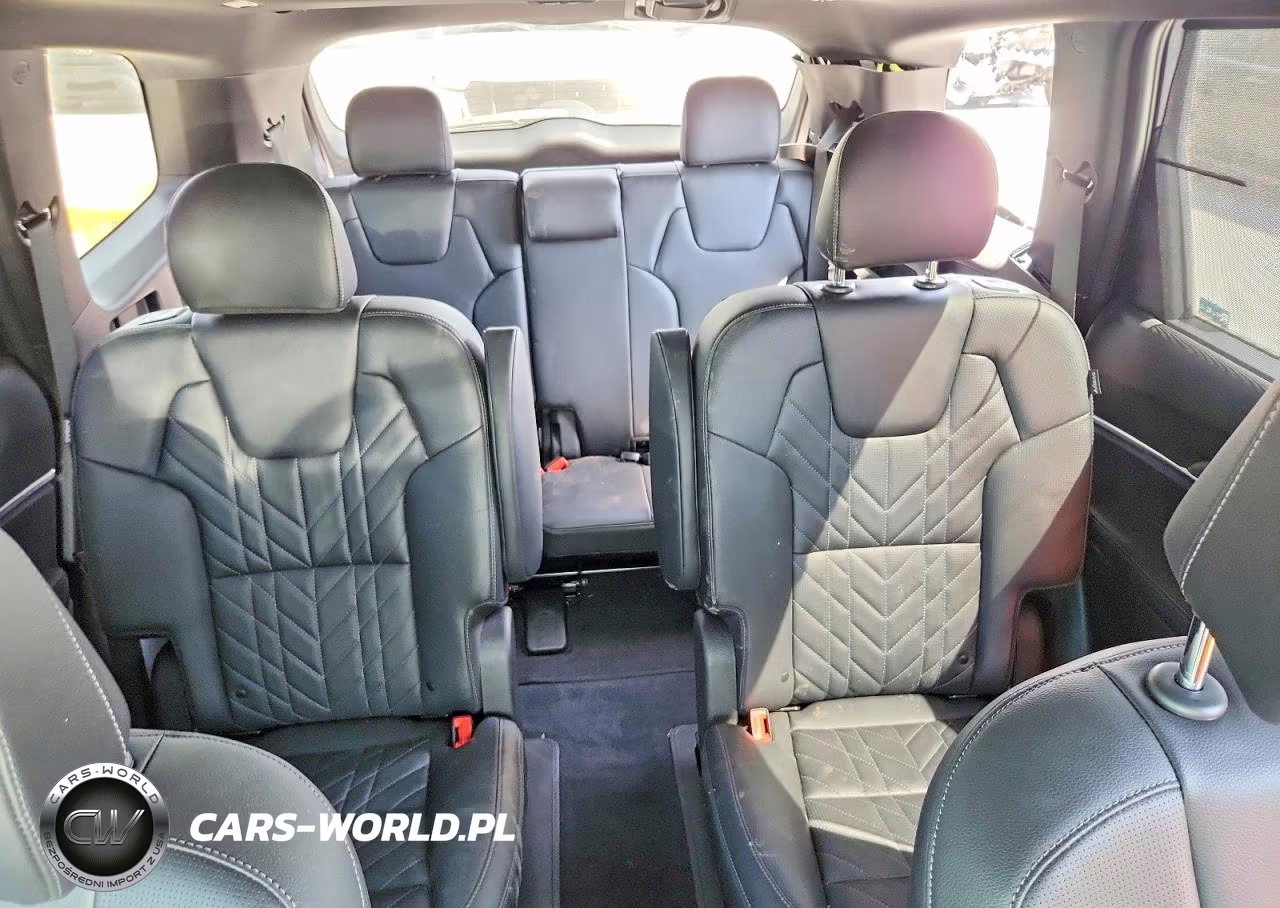 2025 Kia Telluride Ex X-Line VIN:5XYP5DGC7SG680578 - 10