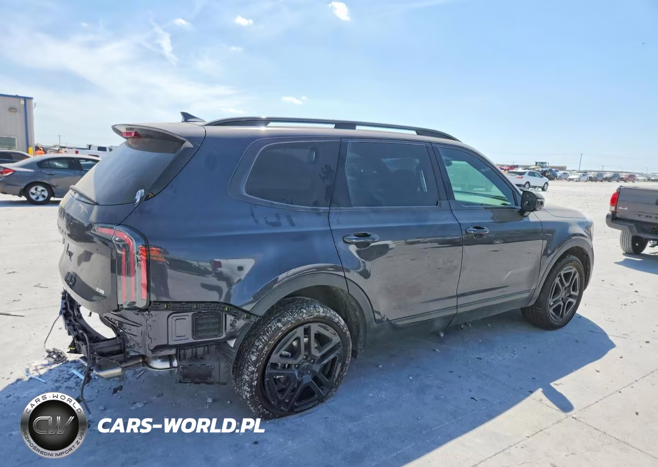 2025 Kia Telluride Ex X-Line VIN:5XYP5DGC7SG680578 - 3