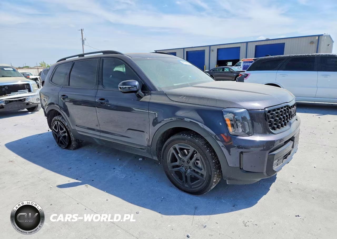 2025 Kia Telluride Ex X-Line VIN:5XYP5DGC7SG680578 - 4