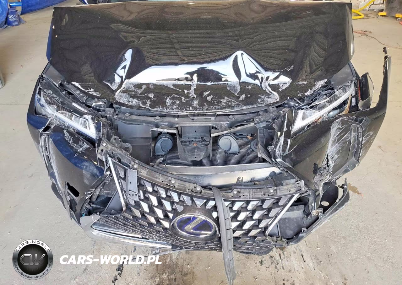 2022 Lexus Ux 250H Base VIN:JTHP9JBH4N2058118 - 12