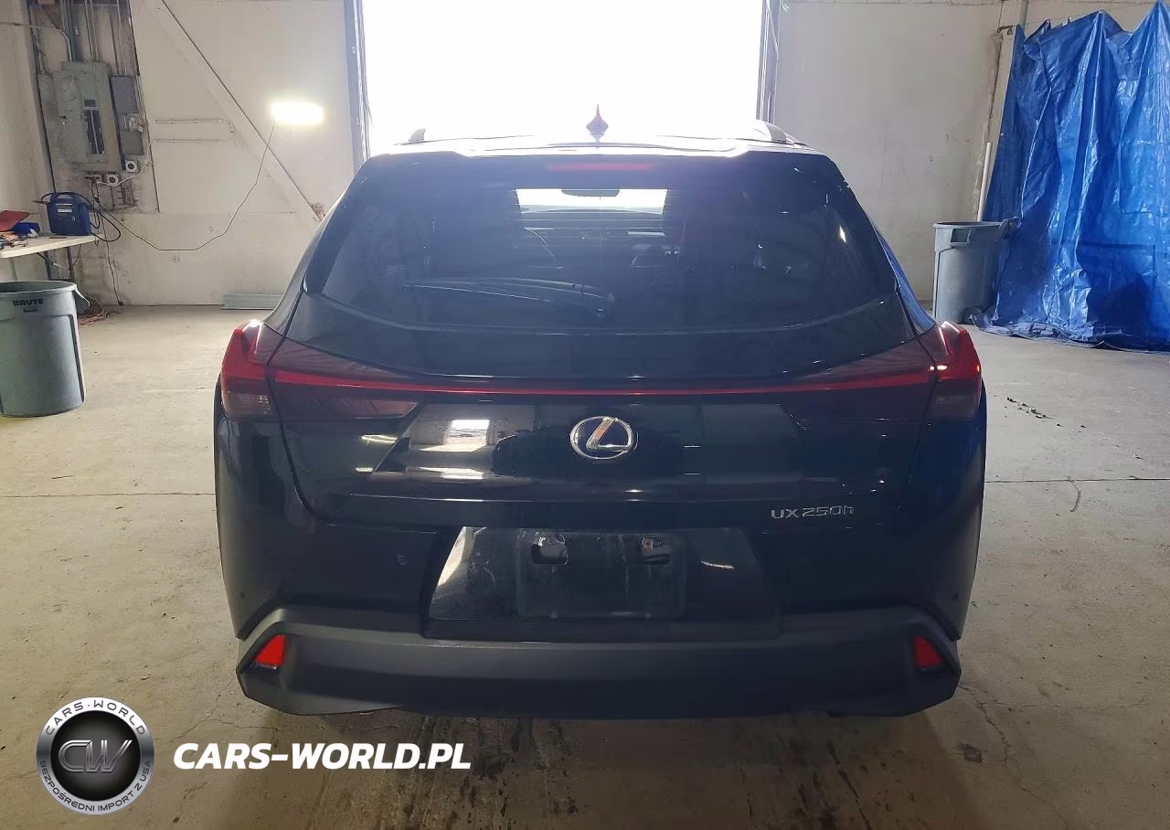 2022 Lexus Ux 250H Base VIN:JTHP9JBH4N2058118 - 6