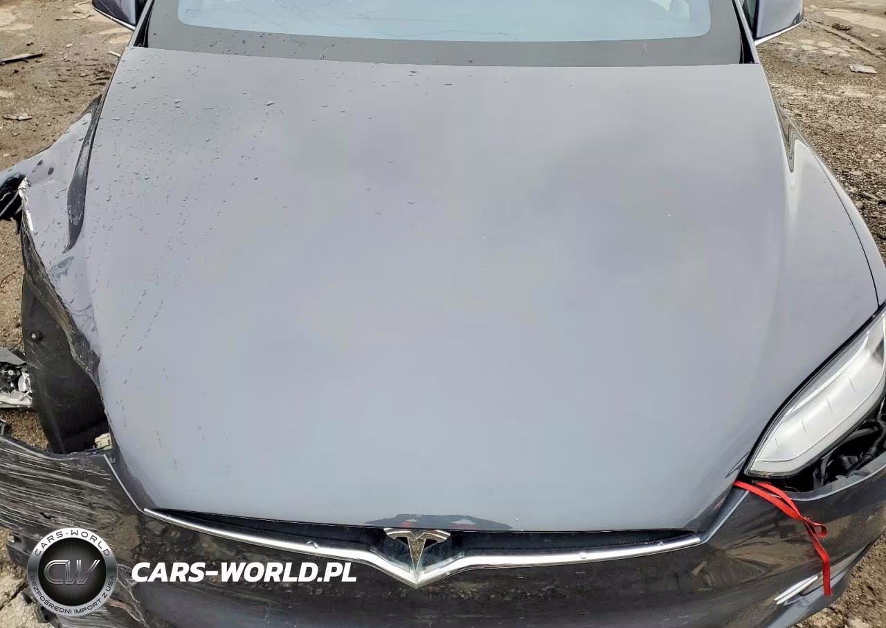 2016 Tesla Model X VIN:5YJXCAE21GF004415 - 12