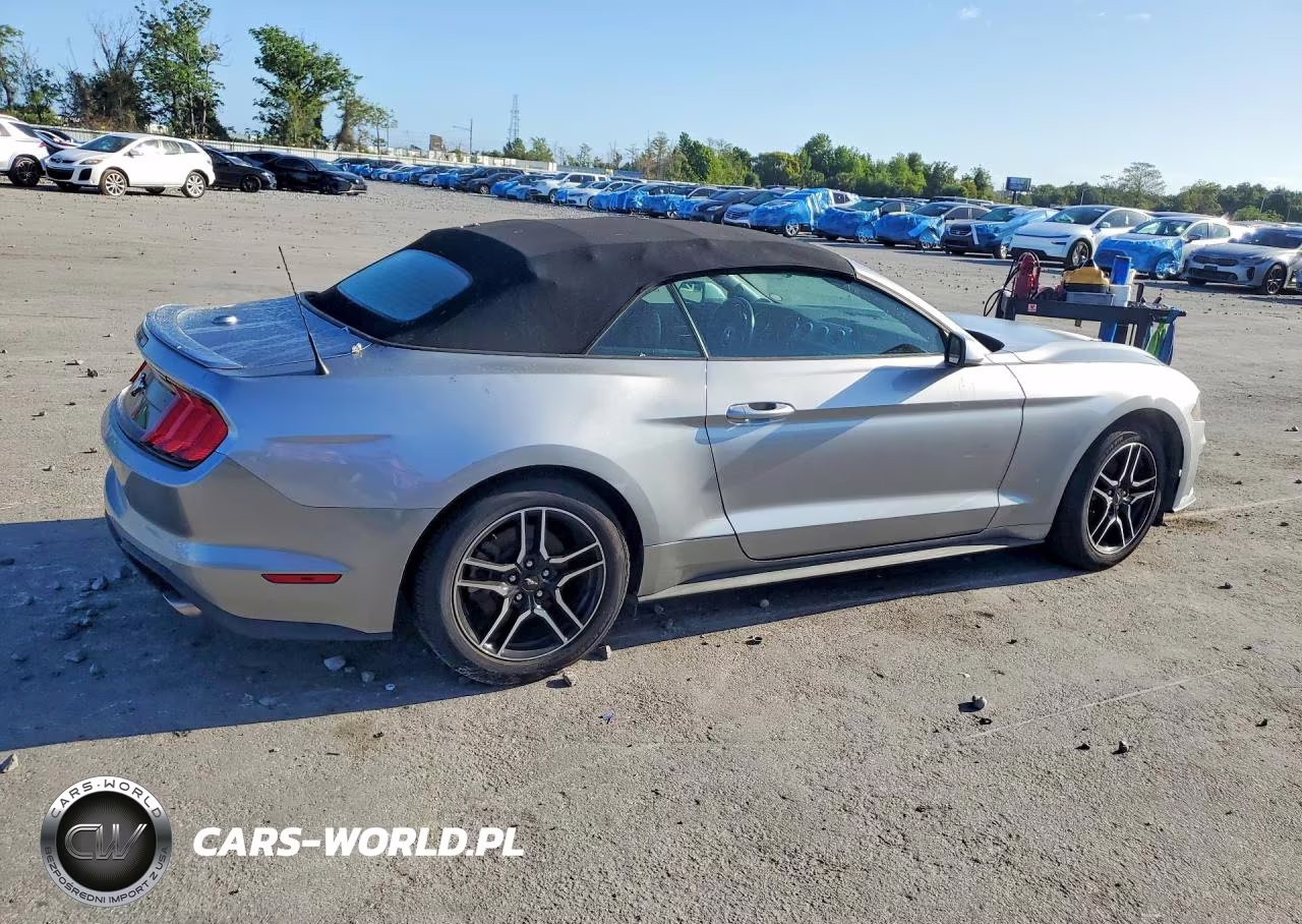 2021 Ford Mustang VIN:1FATP8UH8M5104421 - 3