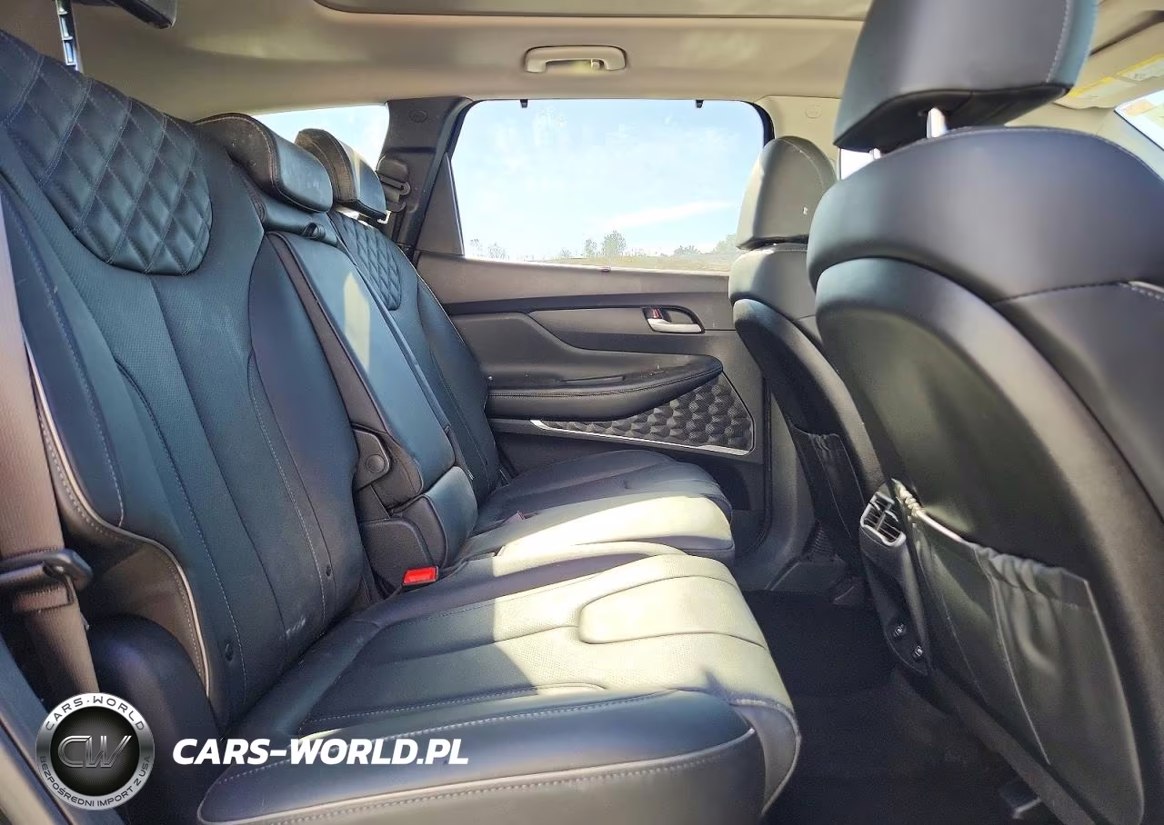 2021 Hyundai Santa Fe Hybrid Sel Premium Hev VIN:KM8S3DA13MU008375 - 11