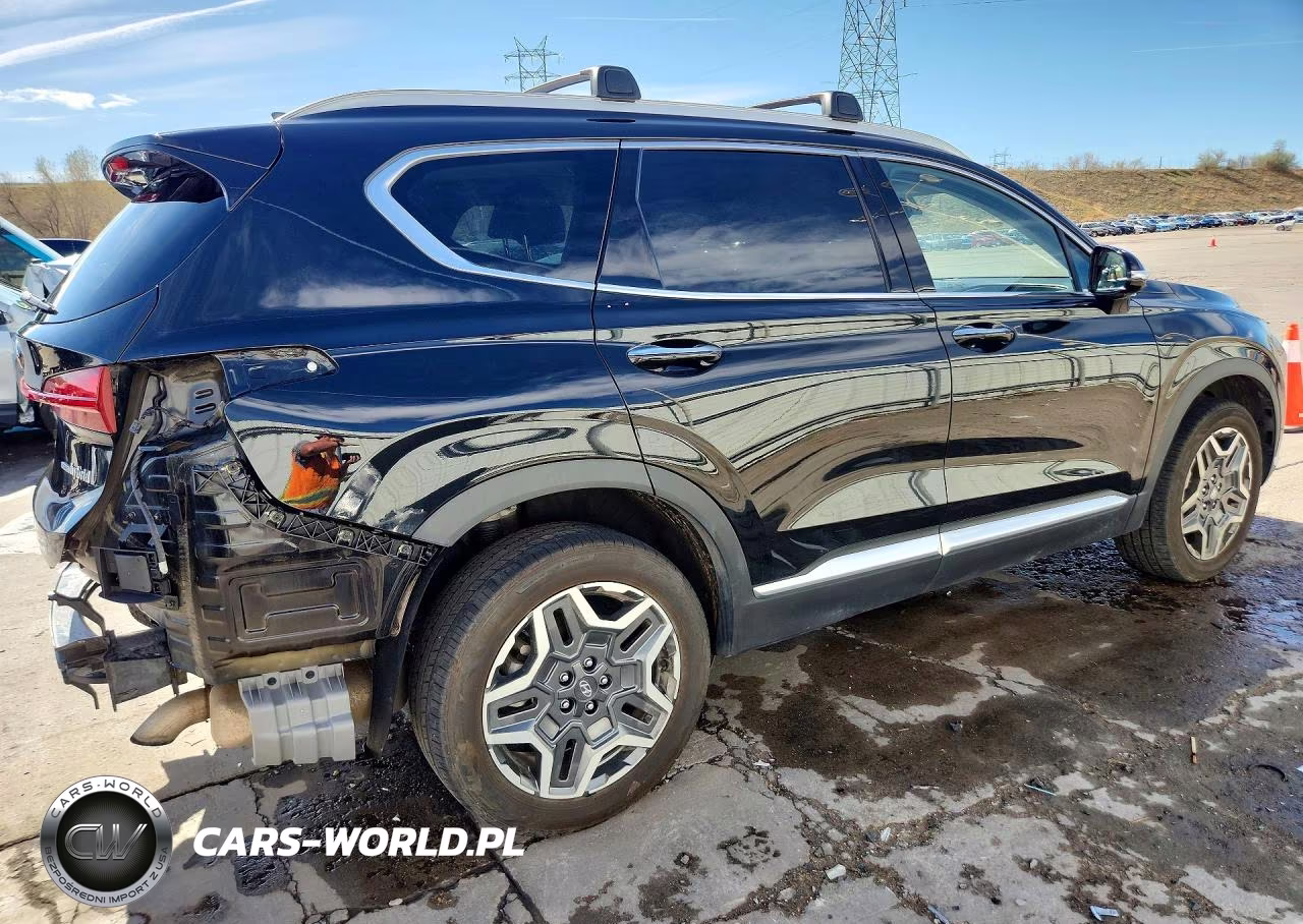2021 Hyundai Santa Fe Hybrid Sel Premium Hev VIN:KM8S3DA13MU008375 - 3