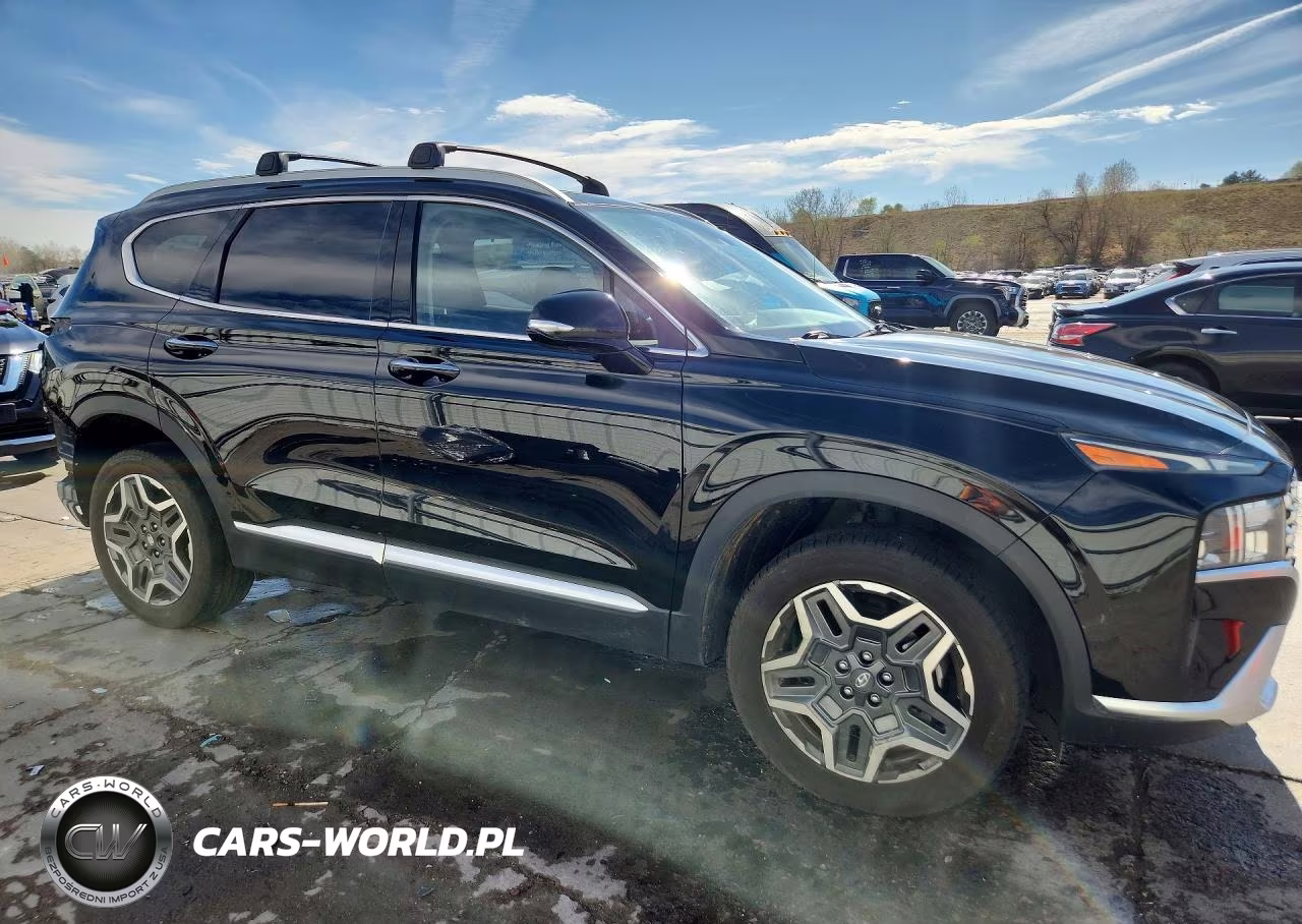2021 Hyundai Santa Fe Hybrid Sel Premium Hev VIN:KM8S3DA13MU008375 - 4