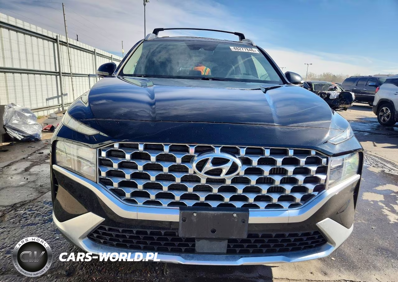 2021 Hyundai Santa Fe Hybrid Sel Premium Hev VIN:KM8S3DA13MU008375 - 5