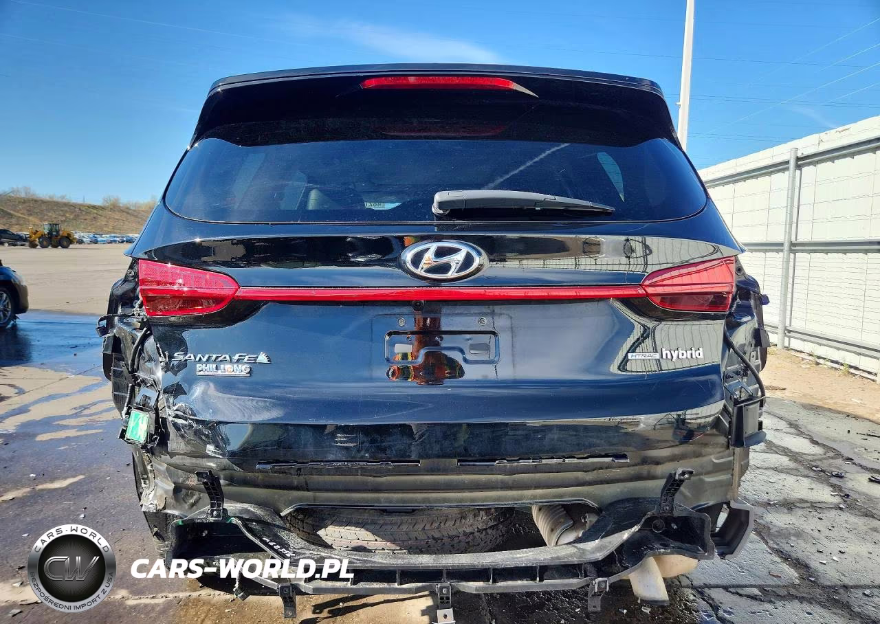 2021 Hyundai Santa Fe Hybrid Sel Premium Hev VIN:KM8S3DA13MU008375 - 6