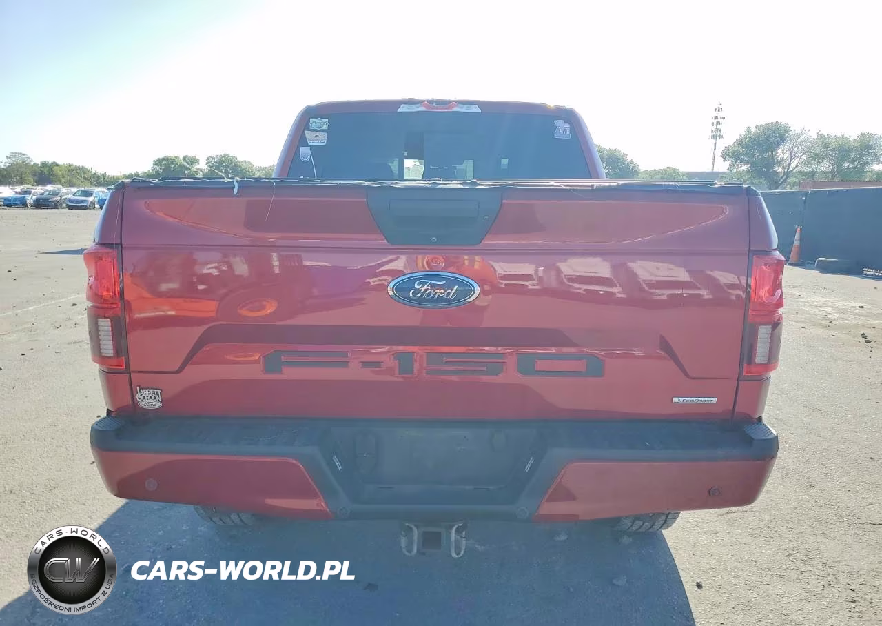 2019 Ford F-150 VIN:1FTEW1E40KFB59199 - 6