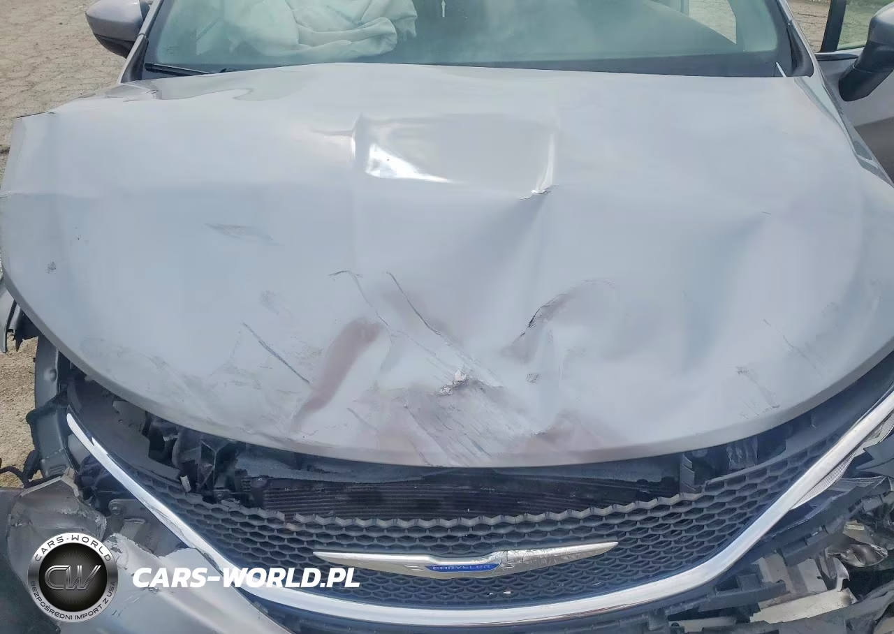 2018 Chrysler Pacifica VIN:2C4RC1DG9JR309470 - 12