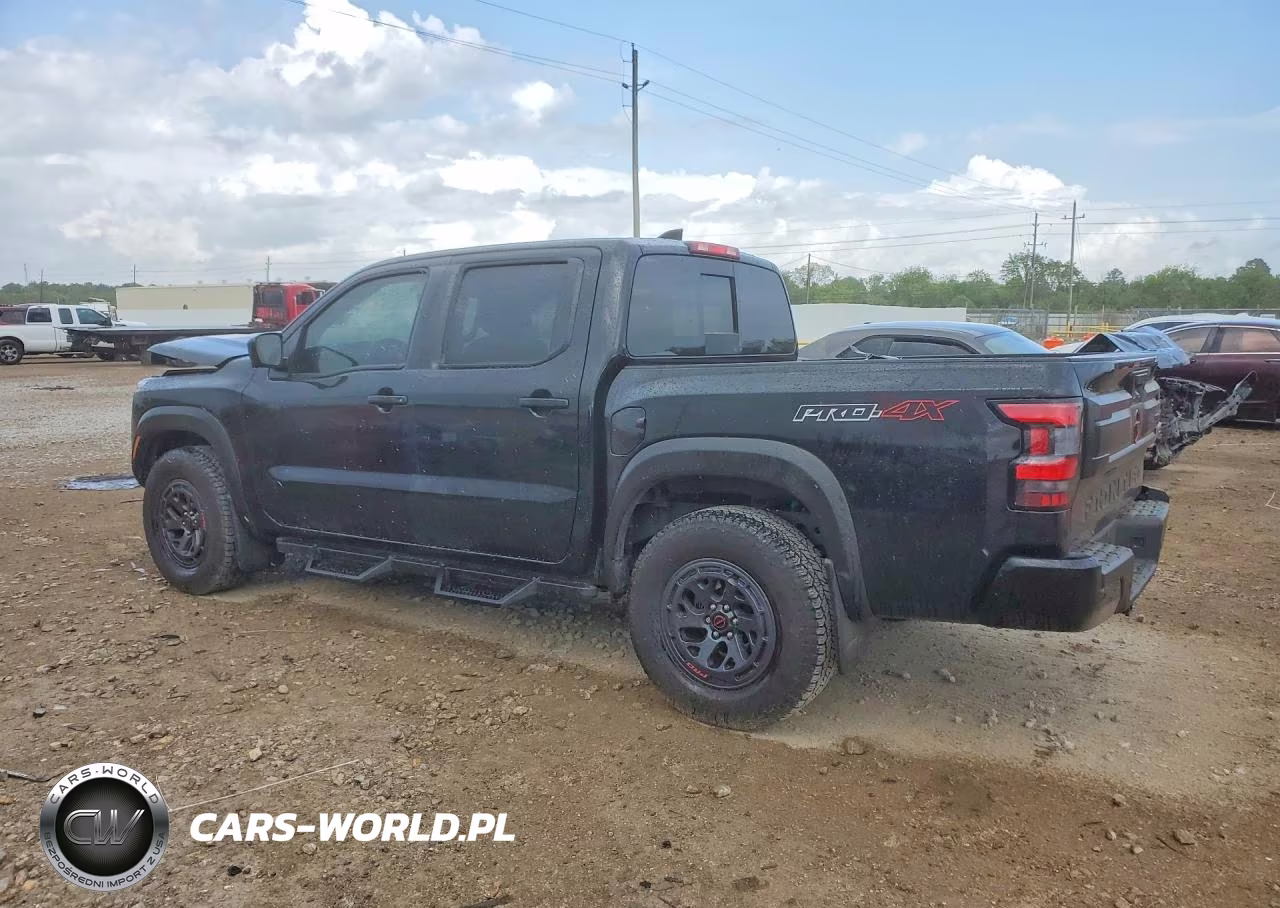 2025 Nissan Frontier Pro-4X VIN:1N6ED1EK4SN643691 - 2