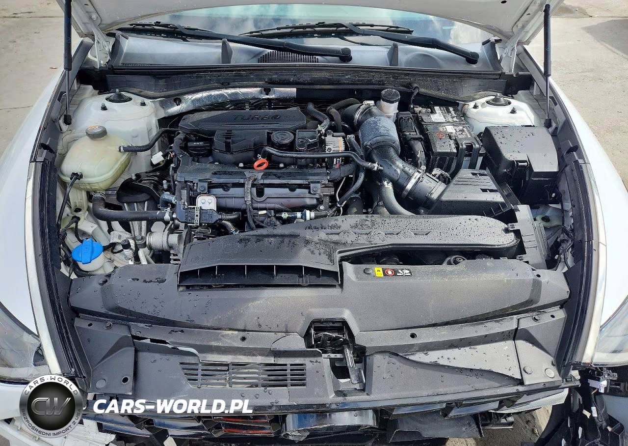 2020 Hyundai Sonata Sel Plus VIN:5NPEJ4J29LH019177 - 11